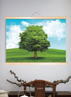 一颗大树田园风光草原玄关入户招财风景画绿色护眼卧室实木卷轴画