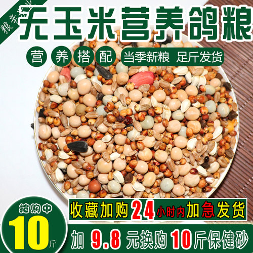 营养无玉米鸽粮赛飞营养饲料鸟食信鸽观赏鸽肉鸽鸽粮鸽子食10斤