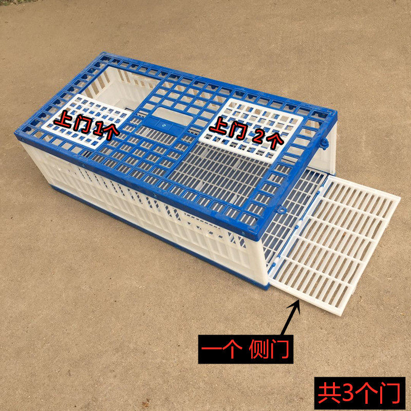 信鸽用品鸽具鸽子放飞笼训放笼折叠赛鸽笼木制鸽子笼比赛笼训鸽笼