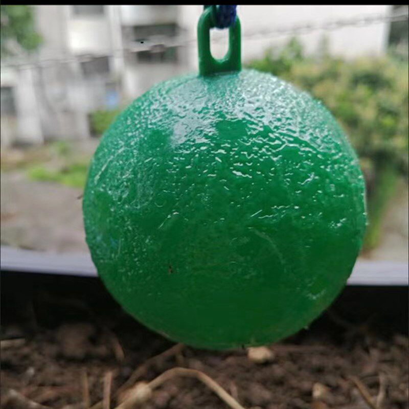 柑橘果实蝇诱蝇球针蜂蚊虫诱捕器果园粘虫球橘子树大棚家用黏蝇球