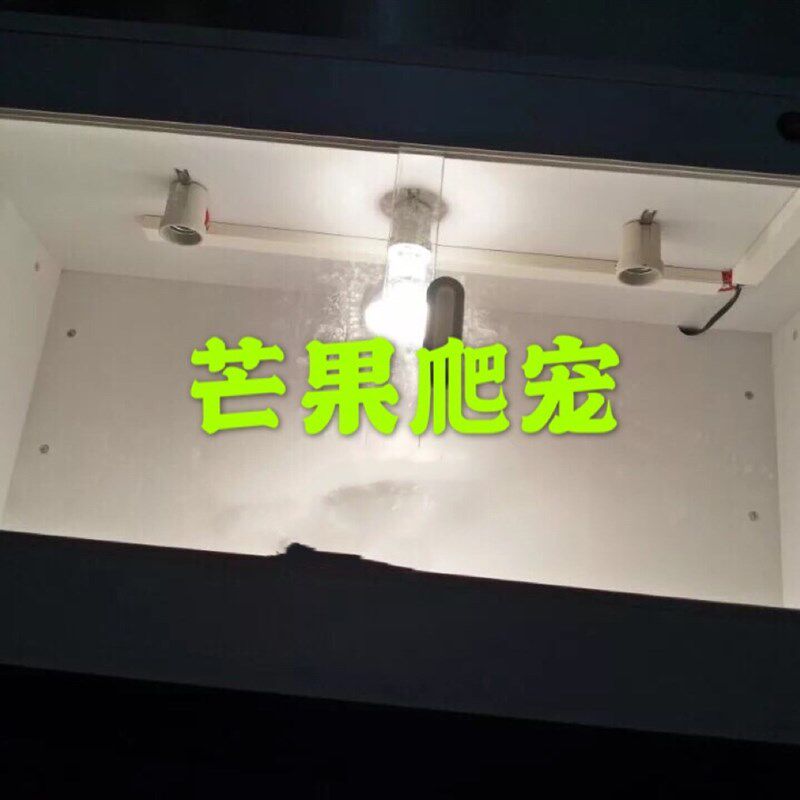 PVC爬箱爬虫饲养箱 蜥蜴陆龟蛇宠物异宠亚克力拉门  爬宠箱定制箱