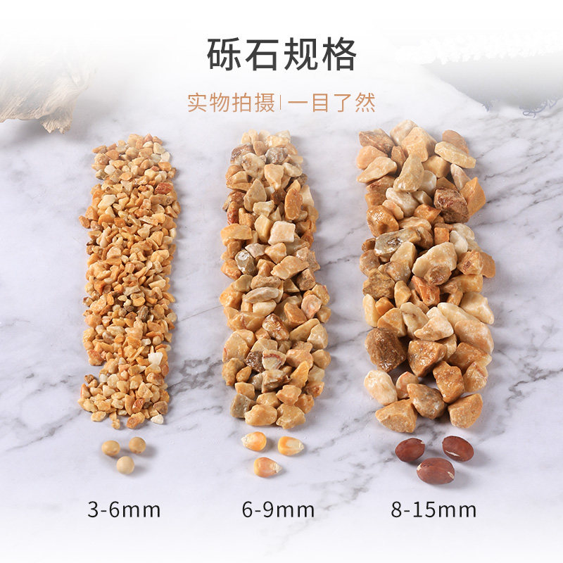 天然砾石黄色石子水洗磨石地面专用枯山水造景铺路胶粘石鹅卵石