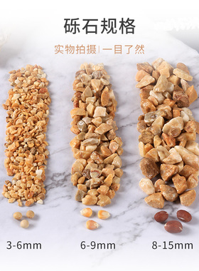 天然砾石黄色石子水洗磨石地面专用枯山水造景铺路胶粘石鹅卵石