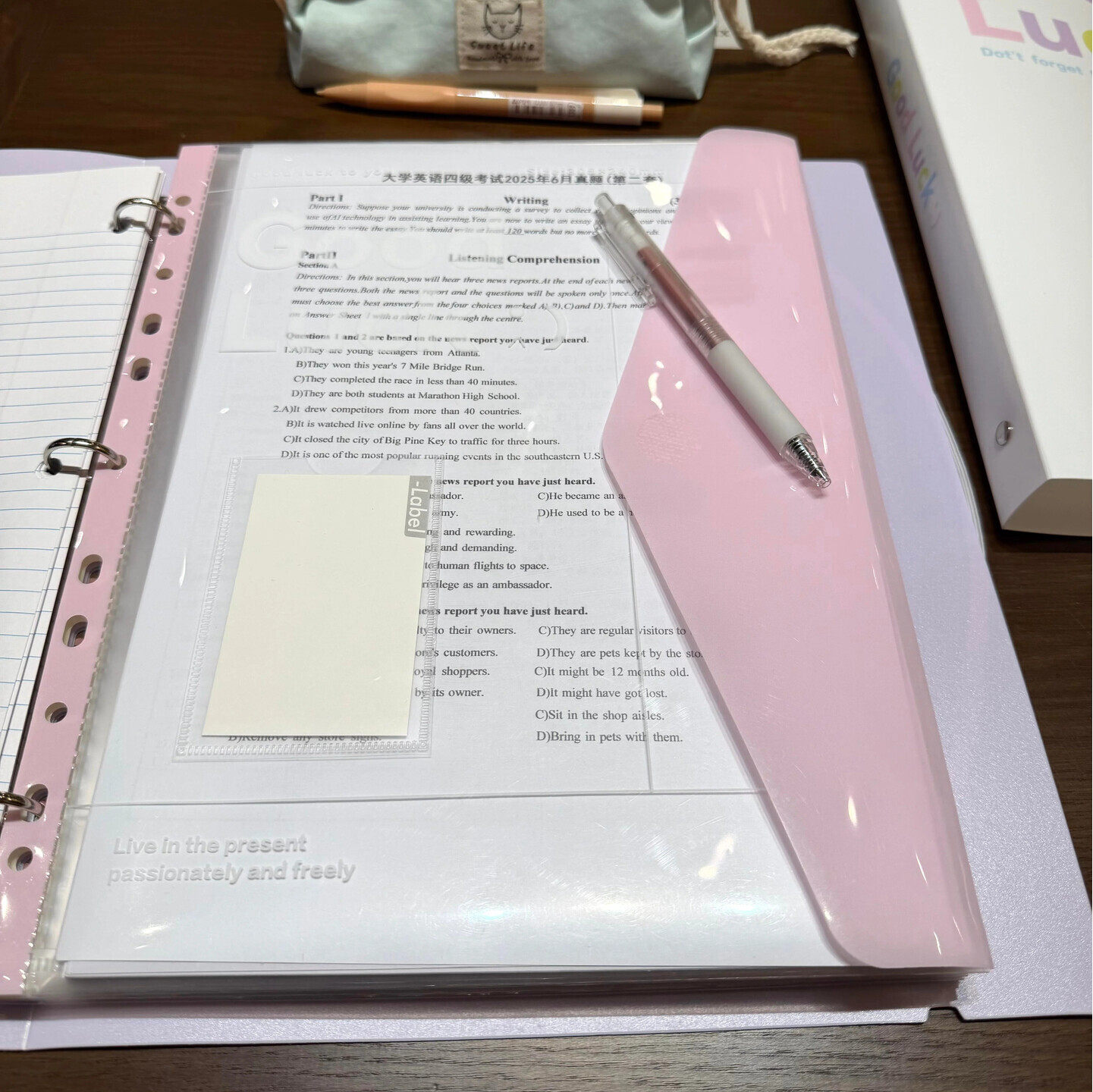 A4活页文件夹资料册学生试卷收纳袋多孔透明简约ins大容量收纳册