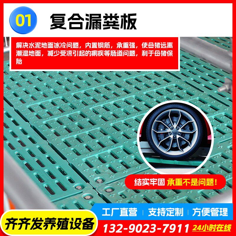 双体母猪产床保育床一体产保两用床养殖设备猪用单体产保分娩床