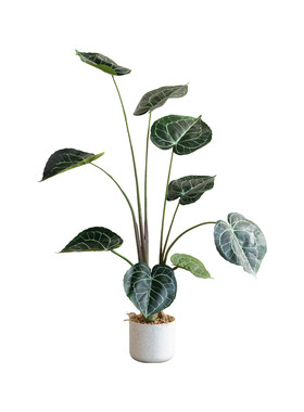 北欧仿真绿植假植物盆栽水晶花烛室内客厅落地装饰盆景玄关摆件