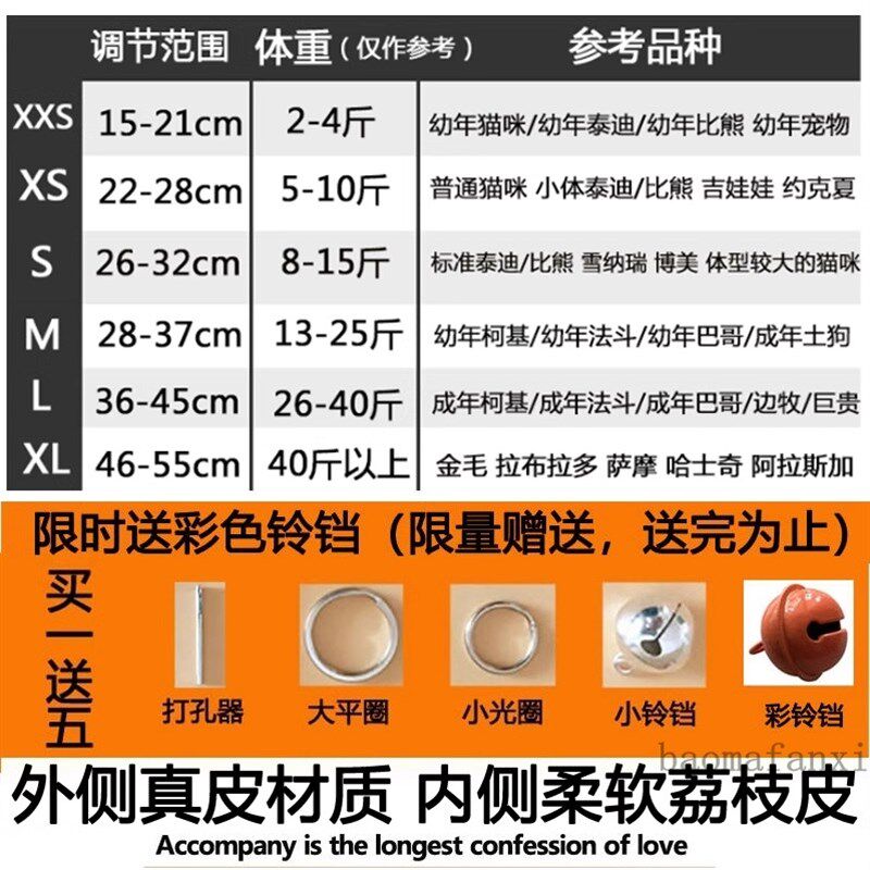 牛皮刻字猫牌项圈定做防丢身份牌金毛泰迪可爱宠物调节颈脖套铃铛