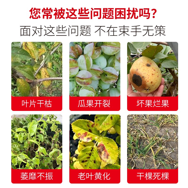 大量元素水溶肥料蔬菜果树高氮高磷高钾20-20-20平衡冲施肥复合肥