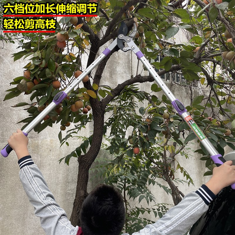 剪树枝专用大剪刀果树粗枝修剪专用伸缩省力修枝剪葡萄花桃树