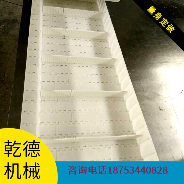 塑料链板输送带桂圆提升机输送带尼龙PP清洗塑料链板传送带厂家