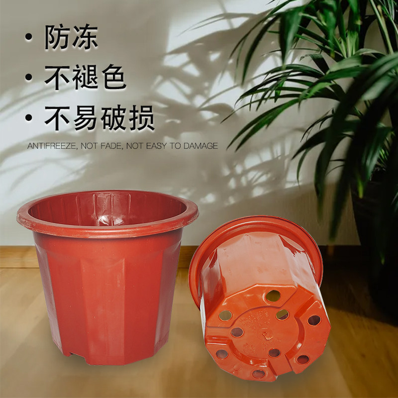 塑料花盆育苗盆加厚耐用多肉种植盆大小号家用圆形绿植盆特价清仓