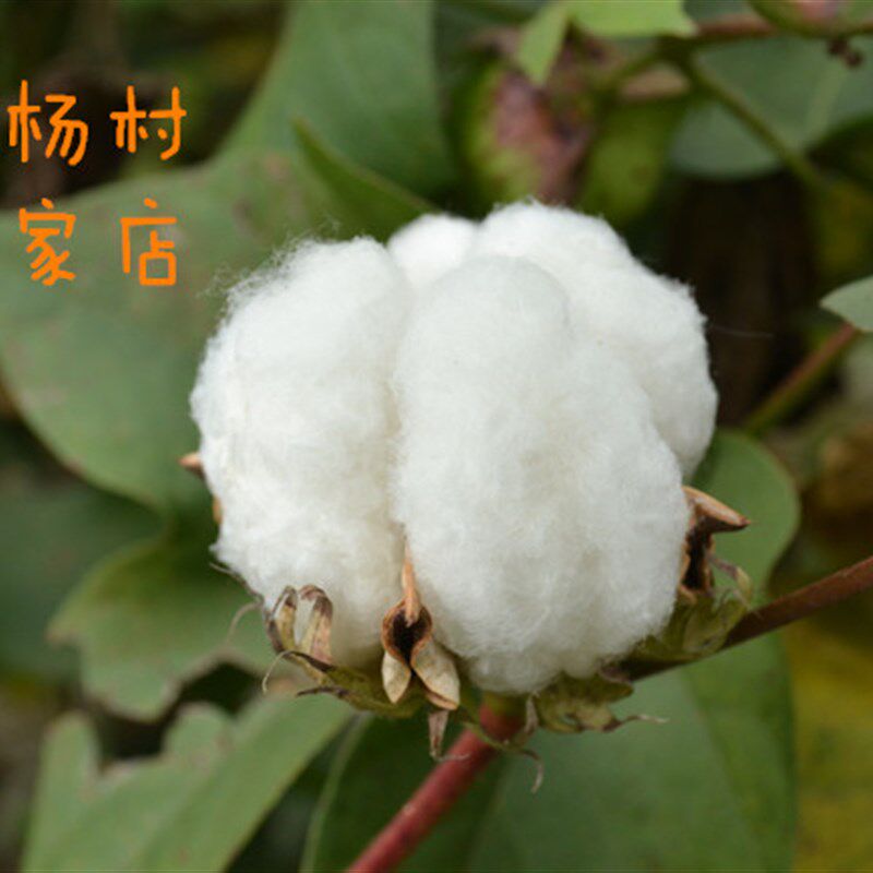 妈妈纯手工现做山东棉被长绒棉絮棉胎被芯褥子垫被儿童被4斤棉胎
