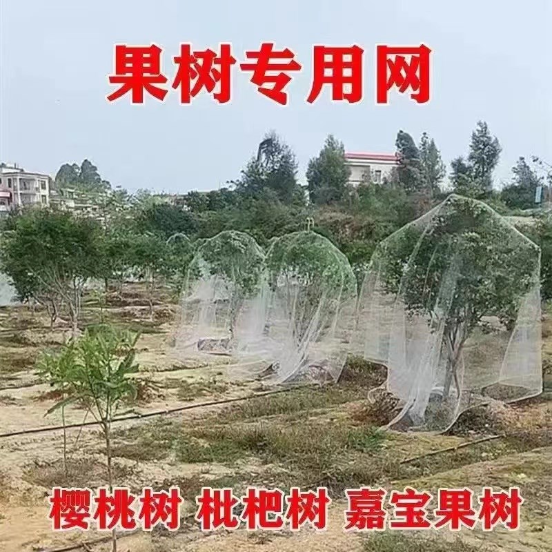 果树防鸟网罩嘉宝果枇杷蓝莓果园尼龙防护网菜地防鸟网耐用伸缩图片