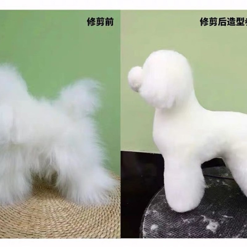 瑞宠宠物美容练习泰迪贵宾假毛模型假狗毛片假头毛假背毛全身毛