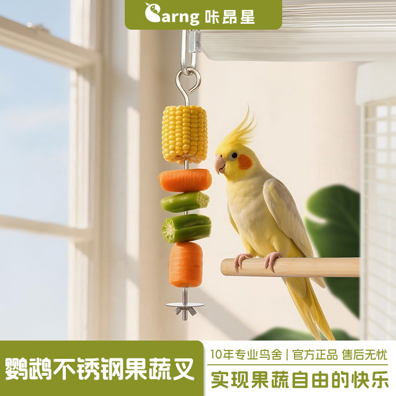 咔昂星鹦鹉鸟用不锈钢水果蔬叉签