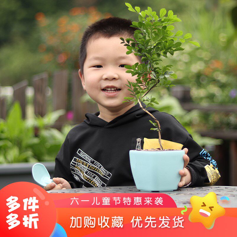 儿童节礼物卡通种植小花盆个性创意可爱多肉室内盆栽自吸水盆包邮