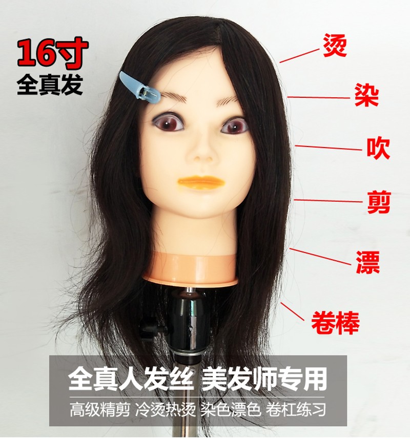 全真发头模美发学徒用可烫染精剪吹风练习头假人头真人发模