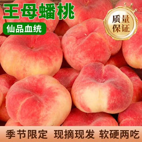 陕西王母蟠桃蜜桃纽扣毛蟠桃扁桃子现摘当季新鲜现摘孕妇水果包邮