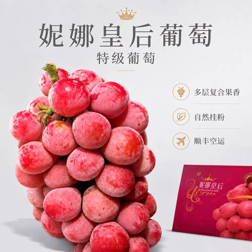 正宗云南妮娜皇后葡萄顺丰包邮