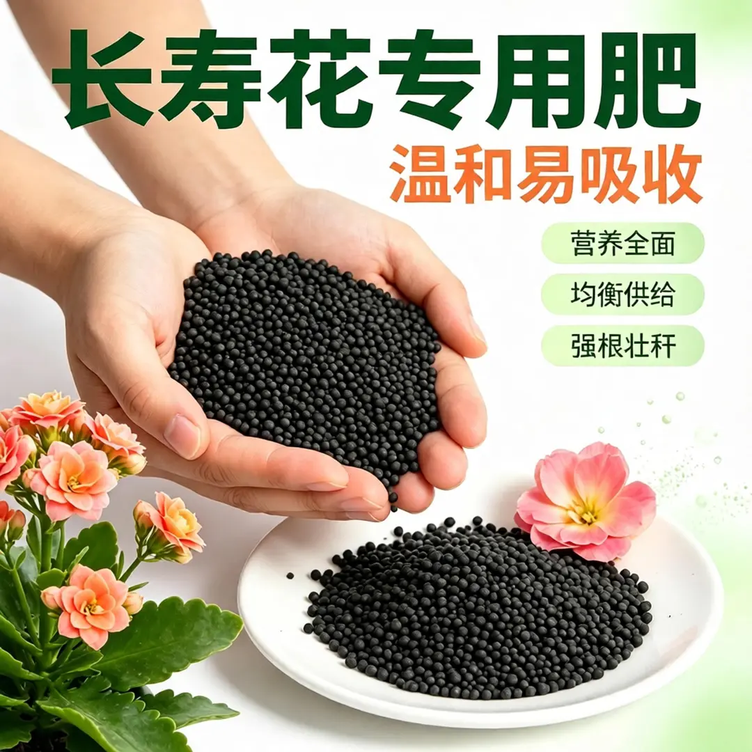 【长寿花专用肥】花蕾倍增花艳延长花期缓释型颗粒复合肥掺混肥Z