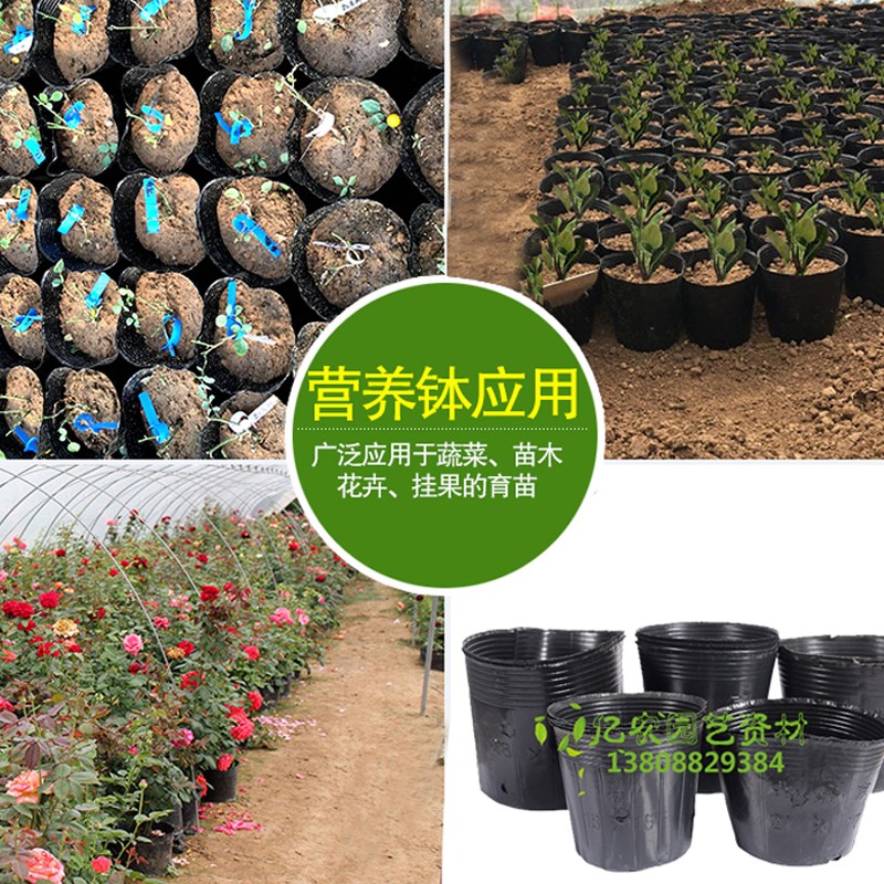 厂家直销营养杯育苗杯塑料加厚营养袋营养钵育苗盆托盘育苗袋塑料