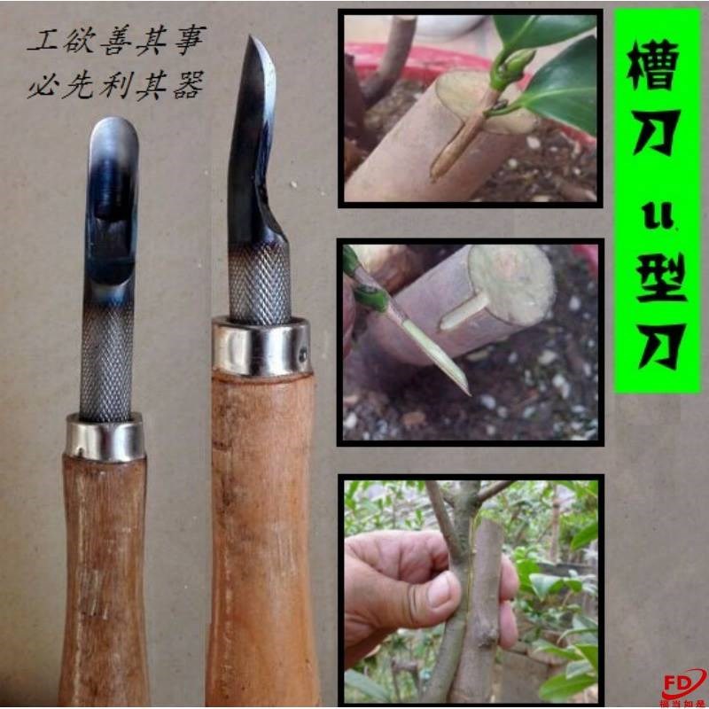 。多款槽刀u型剔芽弧形靠接半圆型园林果树嫁接工具模具钢刀