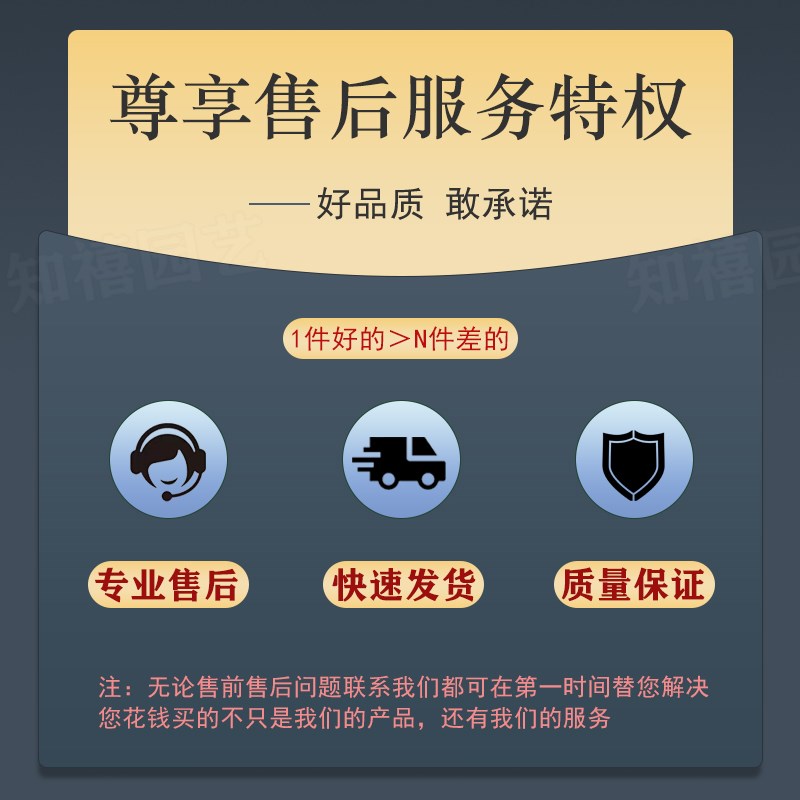 厚黑加仑盆育苗盆软塑料花盆营养钵育苗杯苗圃加仑花盆耐晒