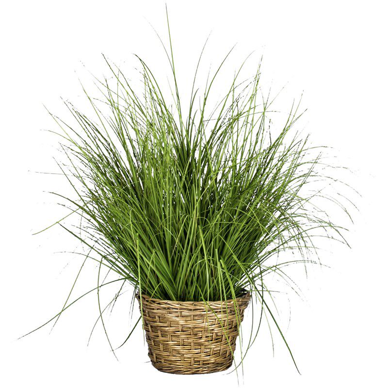 大型仿真绿植芦苇草狗尾巴草盆栽仿生假树造景观植物室内装饰摆件