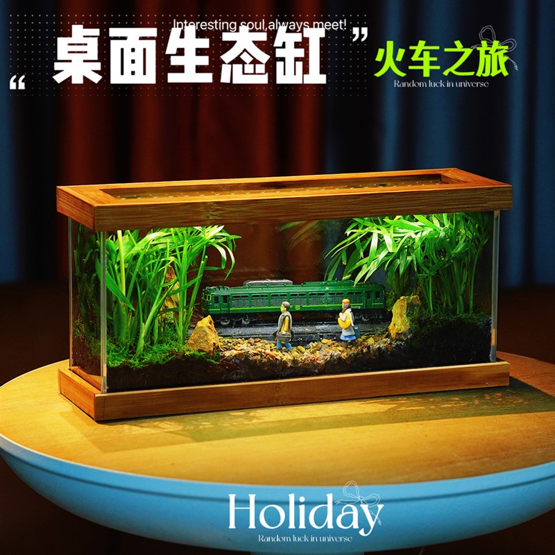 桌面生态缸迷你绿植室内盆栽生态瓶苔藓微景观装饰摆件送礼景观