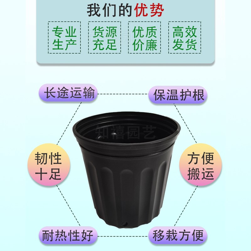 厚黑加仑盆育苗盆软塑料花盆营养钵育苗杯苗圃加仑花盆耐晒