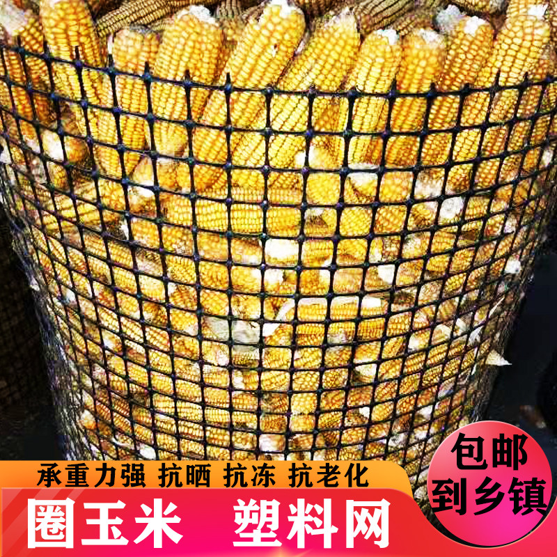 土工格栅养殖网养鸡鸭鹅胶网鱼塘围栏防护网圈玉米网子黑色塑料网