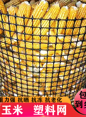 土工格栅养殖网养鸡鸭鹅胶网鱼塘围栏防护网圈玉米网子黑色塑料网