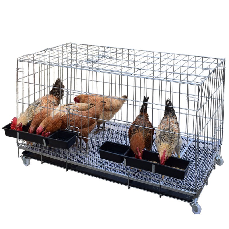 鸡笼子家用大号特大养鸡笼养殖笼兔笼加密鸽子笼折叠猫狗笼鸡笼