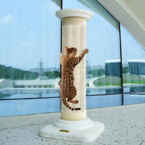 猫爬架罗马柱立式不占地通天柱攀爬架子猫爬柱猫抓板