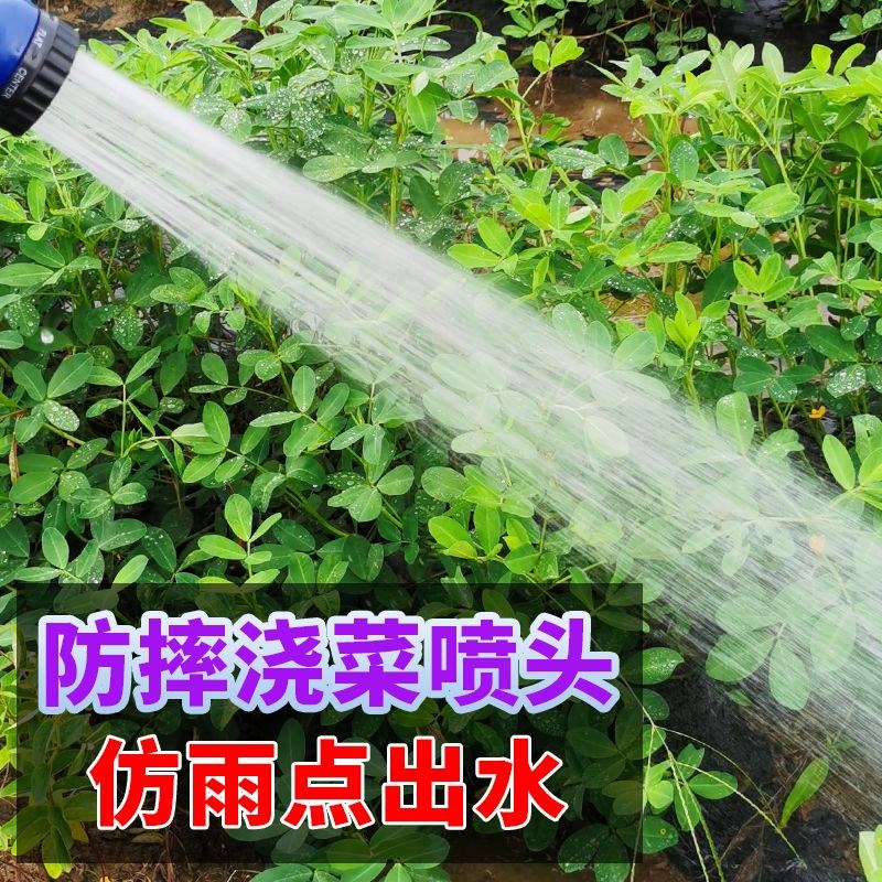 农用灌溉抽水泵小型浇花浇菜喷药喷药电动喷雾器多功能移动充电式
