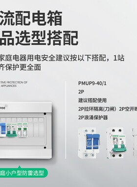 新驰浪涌保护器2P避雷器380V遁形20-40KA光伏交流电涌防雷保护器