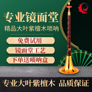 王家彪精制大叶紫檀木精品唢呐初学者入门乐器全套成人演奏级喇叭