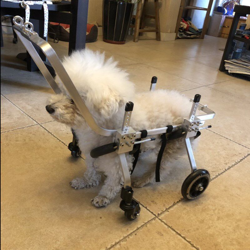 老年狗轮椅前肢四轮宠物偏瘫狗车前腿残疾车全身四肢瘫痪狗辅助车