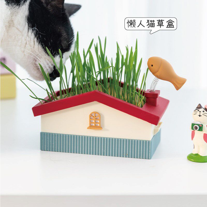 阿楹 懒人猫草盆栽自种无土小麦种植水培盒猫咪小房屋育苗专用盆