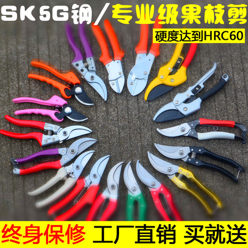 园艺工具树枝果树修花剪刀修枝剪省力园林绿化多功能修剪树枝剪刀