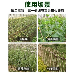 黄瓜爬藤架搭架杆蔬菜丝瓜种黄瓜架子搭黄瓜架竹竿菜园番茄小竹子