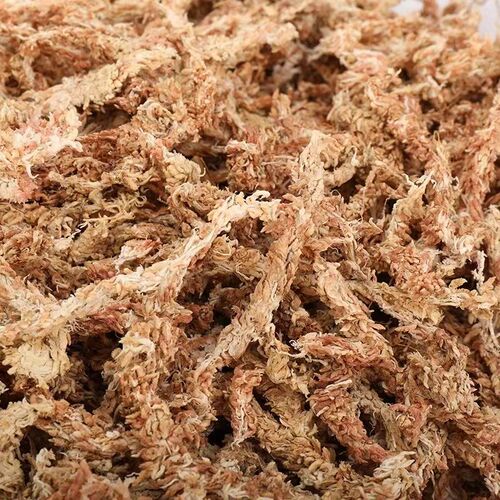 黄缘龟冬眠箱过冬垫材乌龟冬眠用品饲养箱智利水苔小龟冬眠盒套装