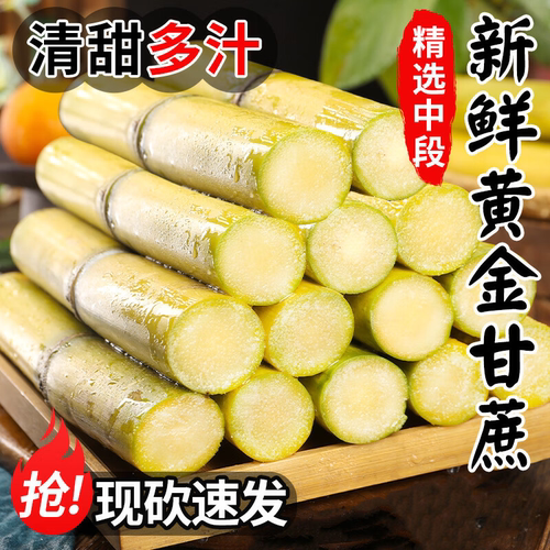 正宗云南黄金甘蔗脆甜多汁现砍黄金甘蔗新鲜脆甜中段黄皮应季水果