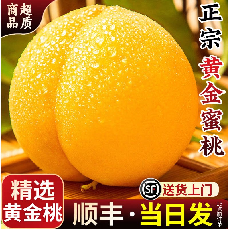 山东蒙阴黄桃蜜油桃脆甜桃子新鲜水果当季水果桃子应季整箱毛黄桃