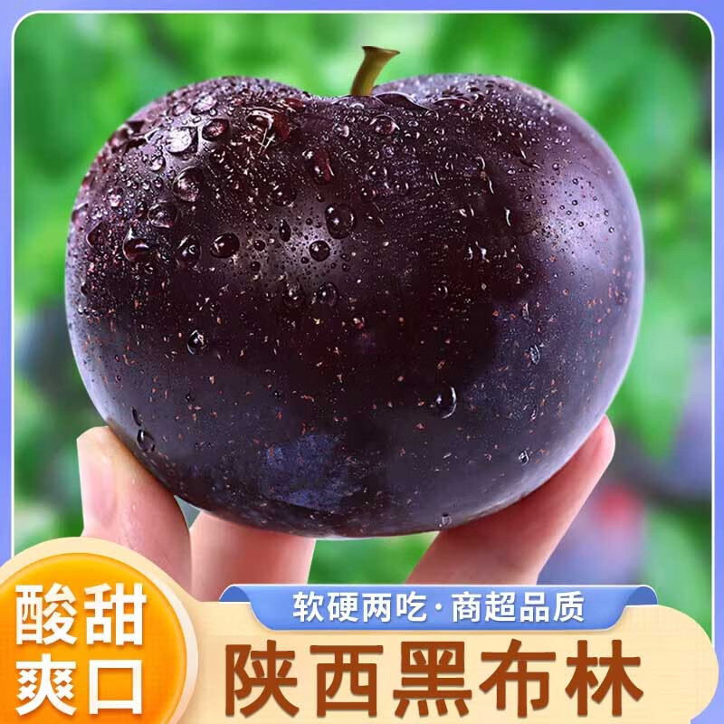 正宗陕西黄肉黑布林李子新鲜当季孕妇水果酸甜多汁头茬恐龙蛋整箱