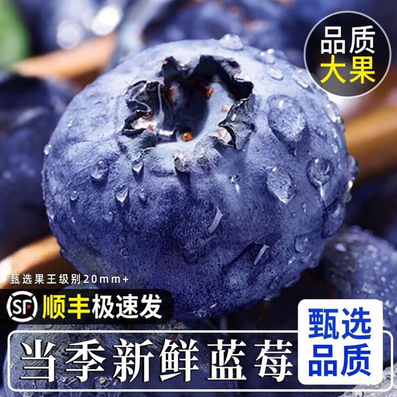 正宗新鲜蓝莓高山蓝莓鲜果当季新鲜水果甜孕妇当季水果整箱顺丰