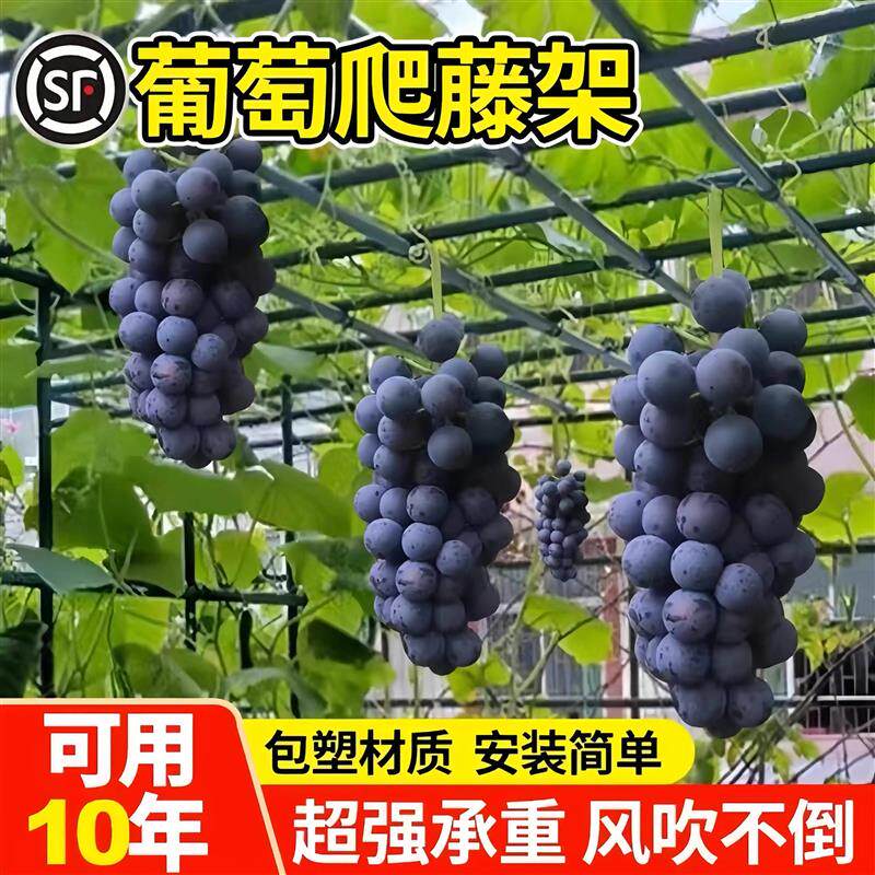 葡萄架子户外室外园艺爬藤架包塑钢管爬藤支架百香果葡萄攀爬架子
