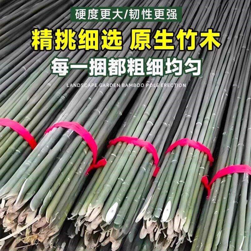 豆角架杆竹竿菜园搭架爬藤架葡萄架小竹子细竹竿篱笆栅栏彩旗杆