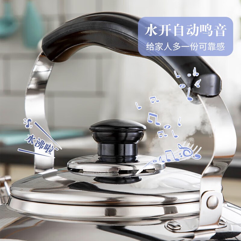 304不锈钢烧水壶电水壶家用插电烧水壶大容量电热水壶茶壶煮茶水