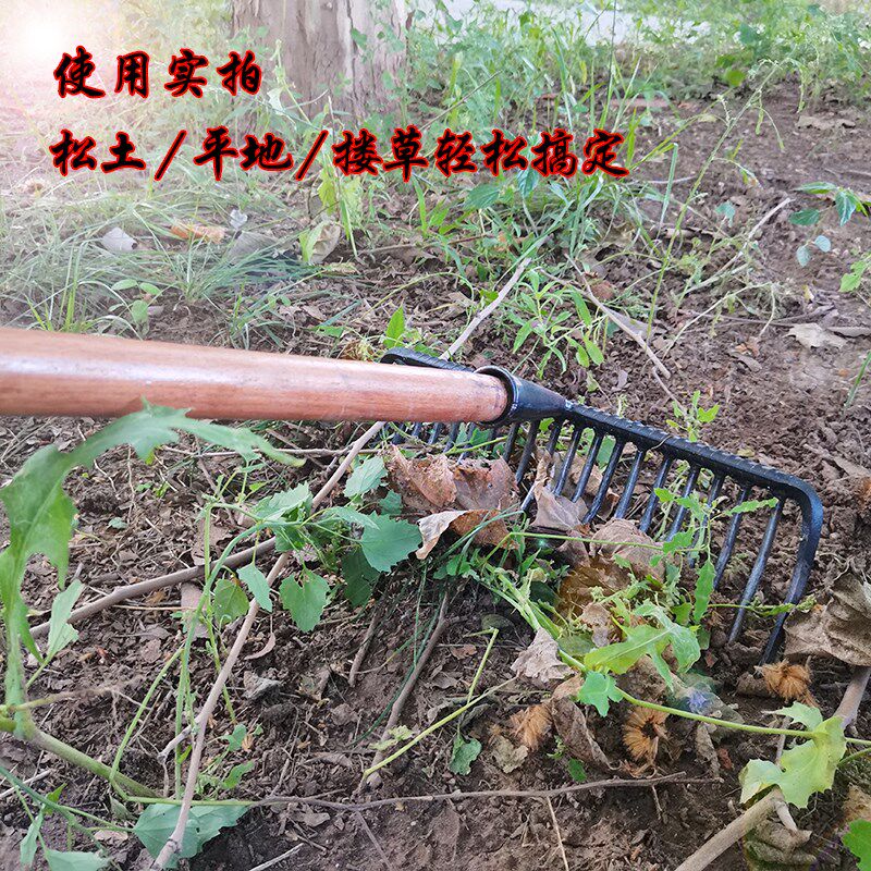 农用钢耙搂草加厚铁耙子齿合金密齿钉耙园艺平地松土农具石头工具